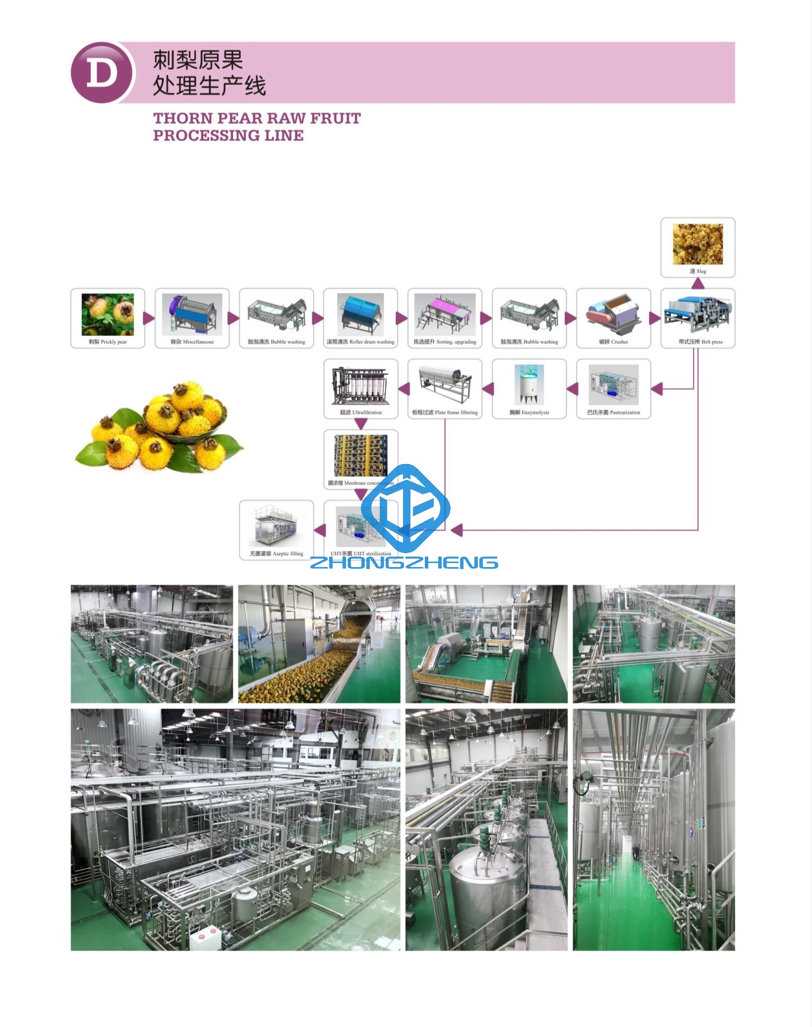 Thorn Pear Raw Fruit Processing Line