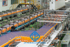 Bottle Conveyor 